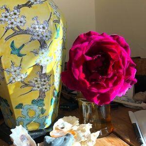 Meet your Posher, Olivia